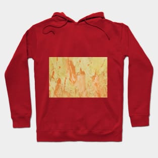 Fire. Flames, heat, bright sparks in an abstract manner Hoodie